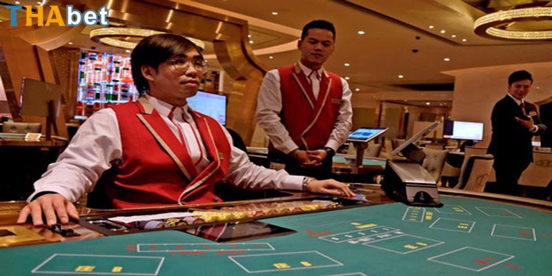 Sub dealer là gì và lý do họ không thể thiếu trong casino